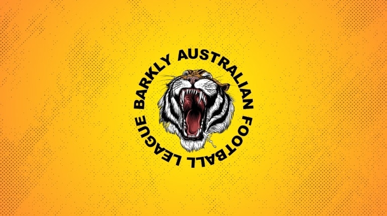 2025 BAFL Finals Series Investigation Findings