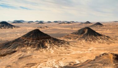 Formidable crocodile-like predator discovered in Egyptian desert