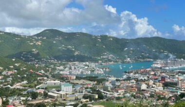 Walwyn slams Trade Department over demands for degrees