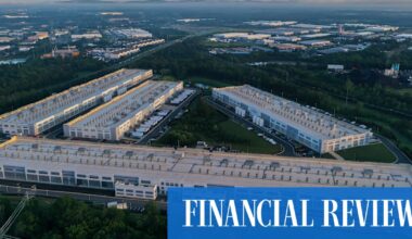 Treehouses, sprouting in the rainforest.