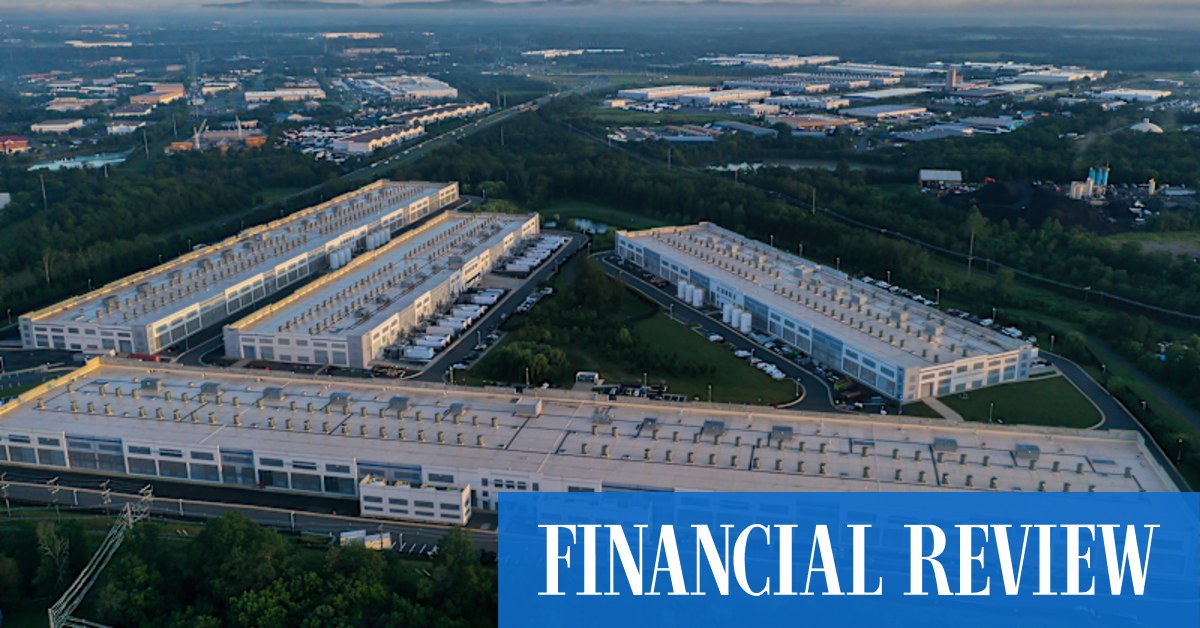 Treehouses, sprouting in the rainforest.