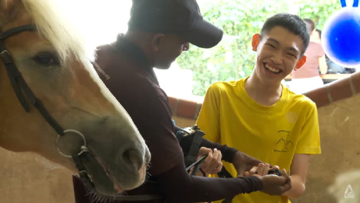 How animals are changing mental health care for some in Singapore