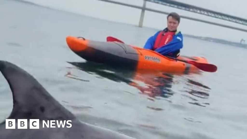 Kayakers have 'incredible' encounter with dolphin in Firth of Forth