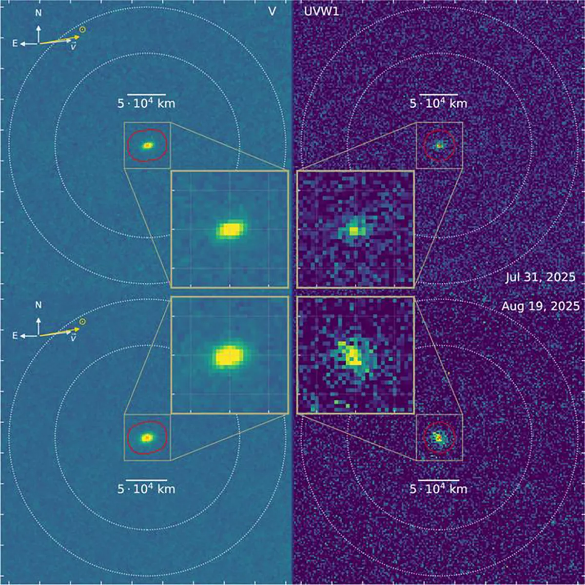 NASA’s Swift Ultraviolet/Optical Telescope (UVOT) observed interstellar comet 3I/ATLAS during in July and August 2025. Left panel shows visible-light. Right shows ultraviolet. The faint glow of hydroxyl (OH) traces water vapour can be seen escaping from the comet. Credit: Dennis Bodewits, Auburn University
