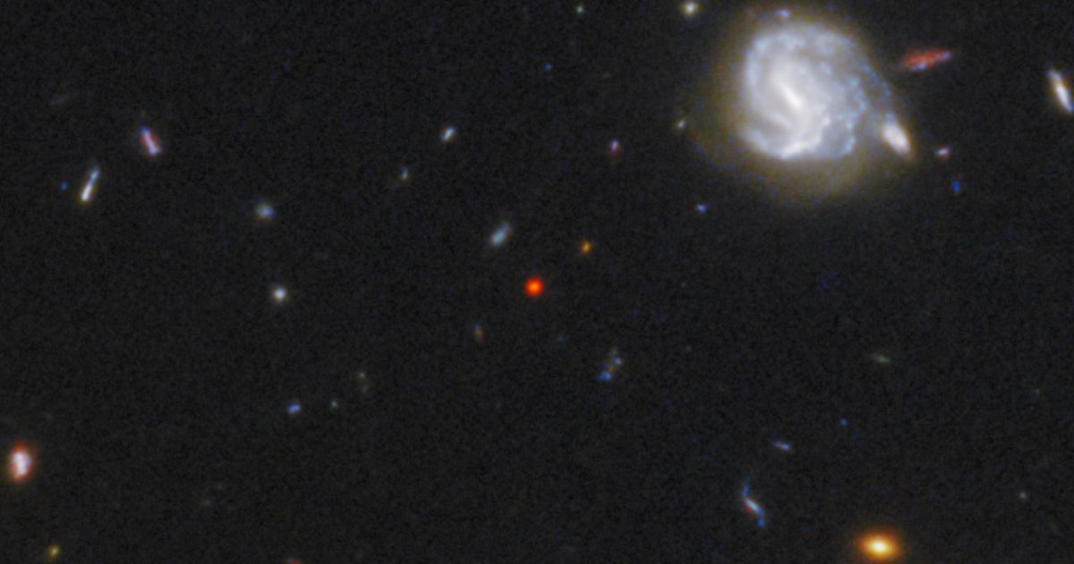 Is our first "galaxy-quasar hybrid" also a Little Red Dot?