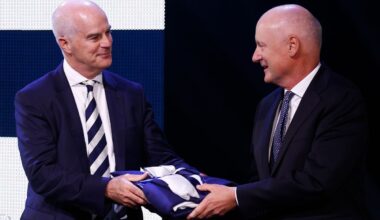 Why the new AFL chairman was the 'compromise option' to succeed Richard Goyder