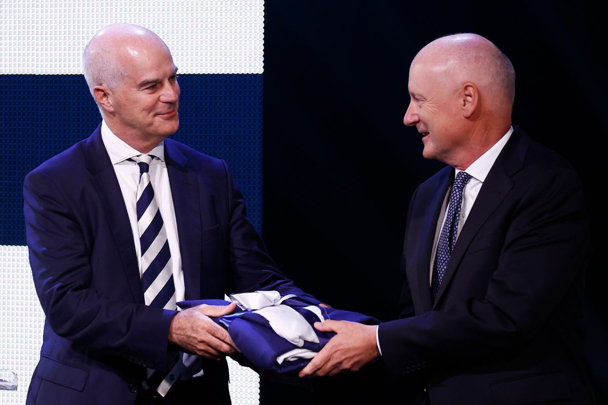 Why the new AFL chairman was the 'compromise option' to succeed Richard Goyder