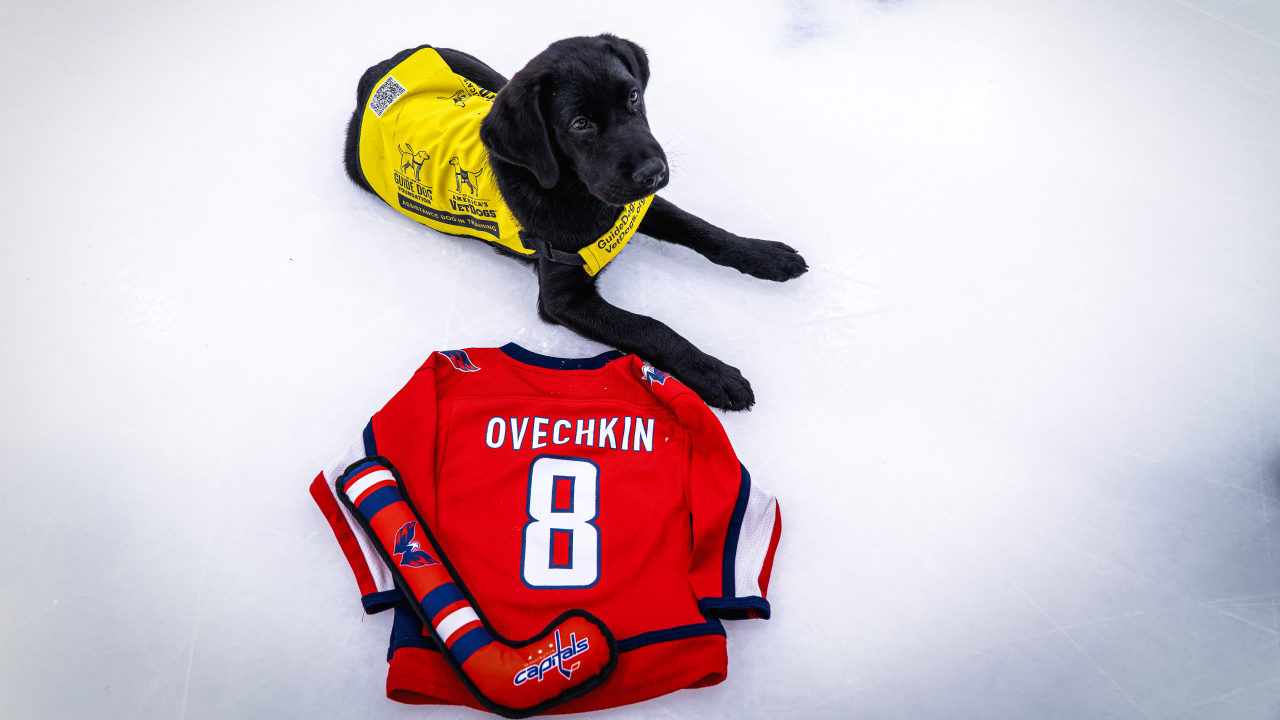 America’s VetDogs Names Future Service Dog “Ovi” in Honor of NHL Legend Alex Ovechkin’s Record-Breaking Career