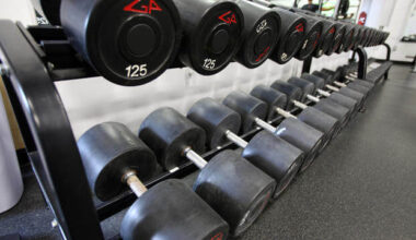 Dumbbells are lined up on a weight rack.