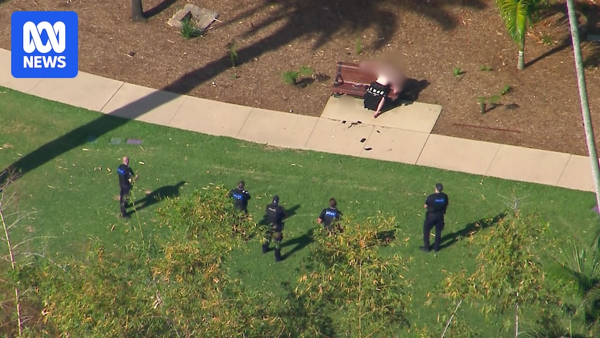 Allegedly armed man who sparked hours-long lockdown of Brisbane City Botanic Gardens in custody