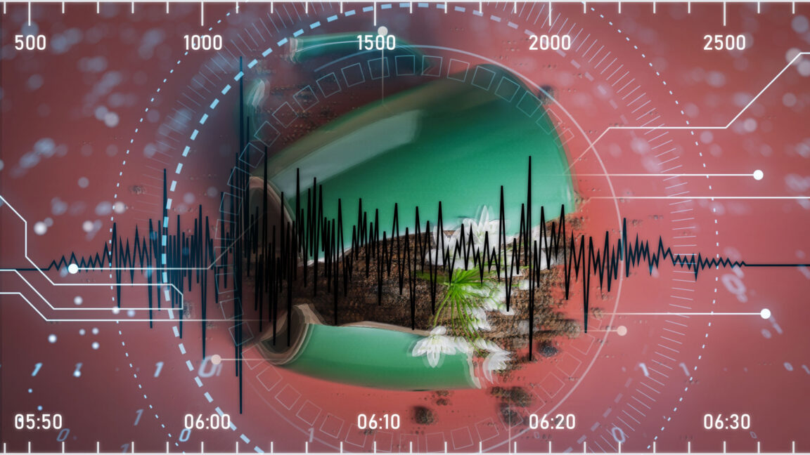 “Like putting on glasses for the first time”—how AI improves earthquake detection