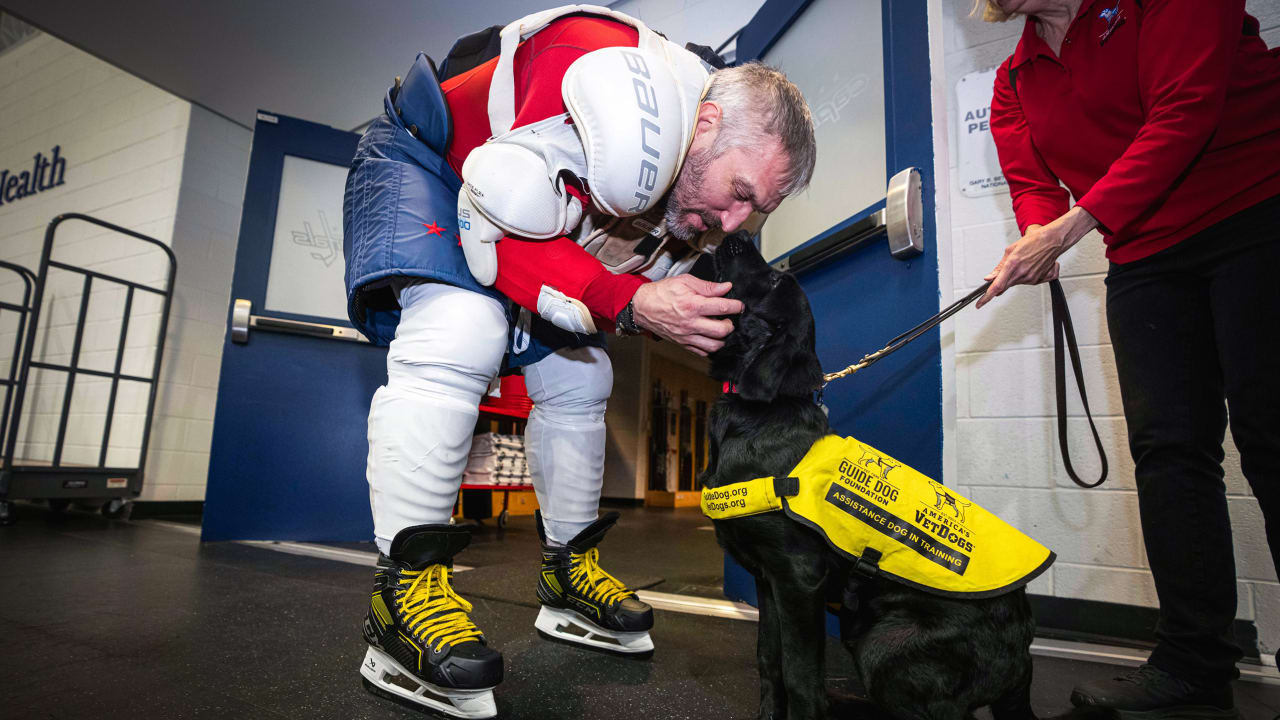 Ovechkin meets service dog named after him 