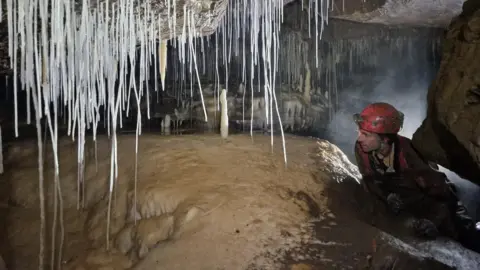 Handout The photo shows a person in full caving gear, including a helmet, crawling through a narrow cave passage surrounded by long, thin stalactites hanging from the ceiling and stalagmites rising from the ground.