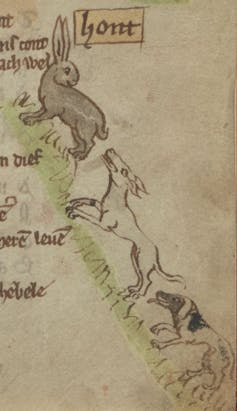 An illustration of a hare hunt