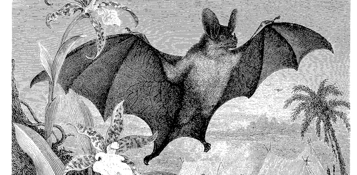 Let’s celebrate nature’s spookiest and freakiest animals this Halloween