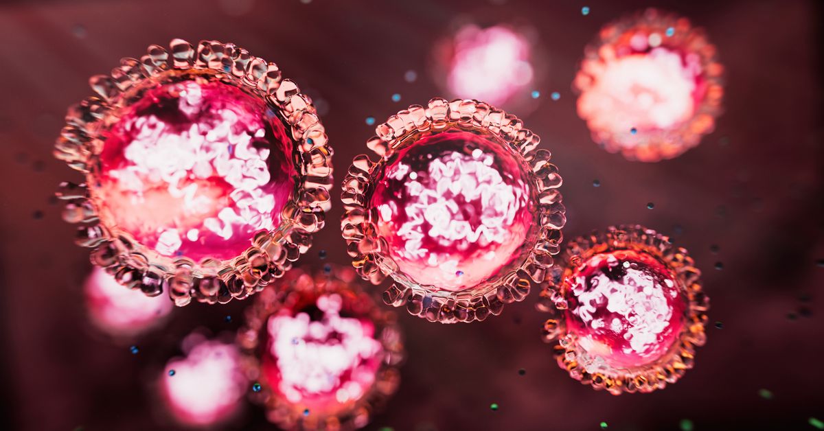 Measles confirmed on Northern Beaches