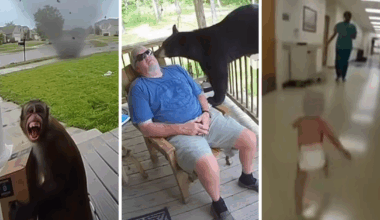 Why your social media feeds are being overrun by AI videos, explained