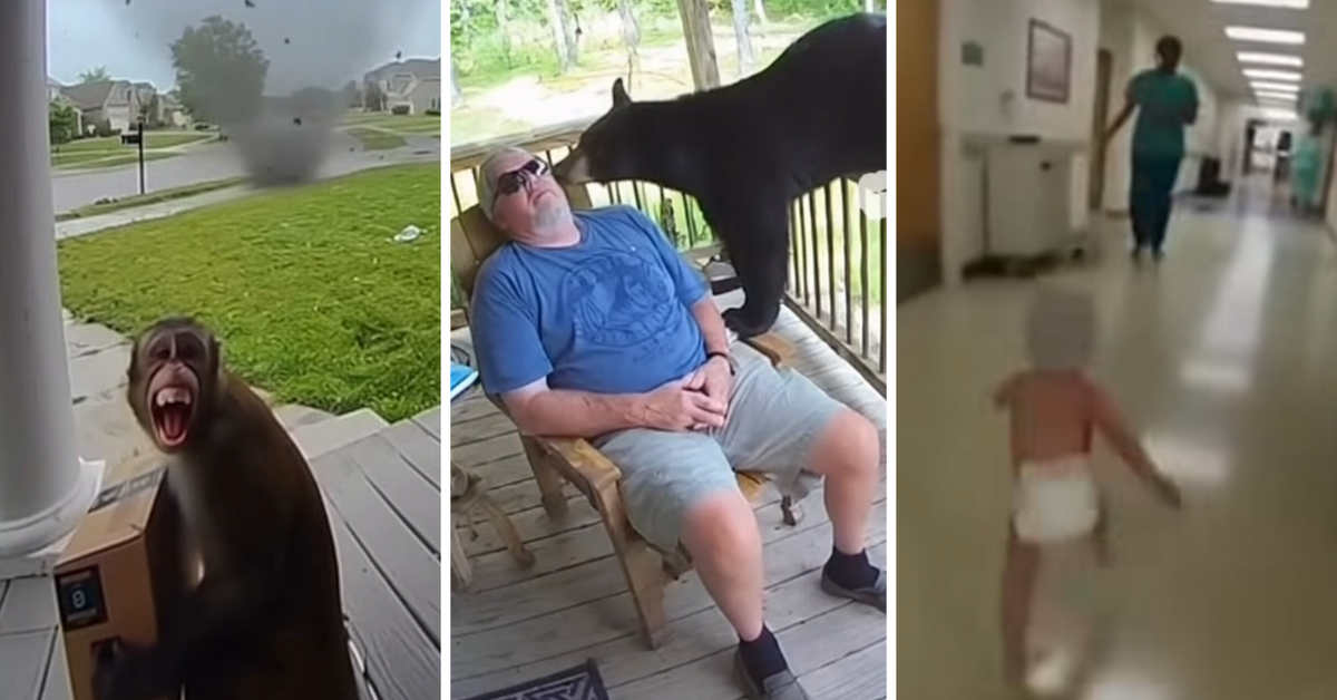 Why your social media feeds are being overrun by AI videos, explained