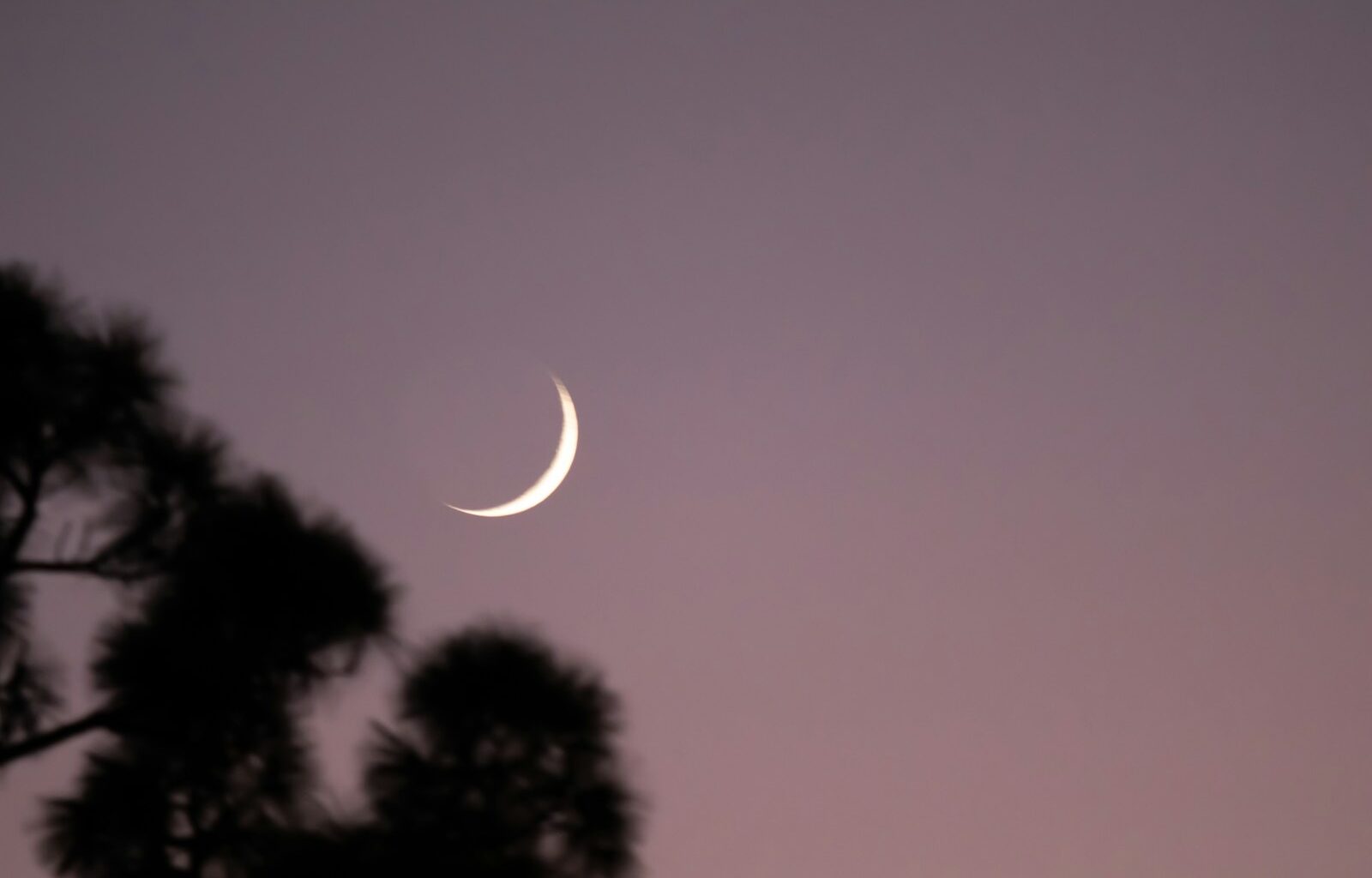 Wire 3 adds Port St. Lucie to their Florida fiber footprint