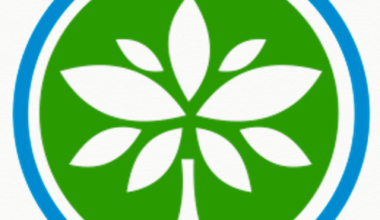 CFAs: Jim Leech Mastercard Foundation Fellowship on Entrepreneurship (Africa) - fundsforNGOs