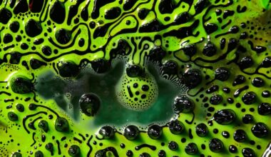 A radical reimagining of physics puts information at its centre