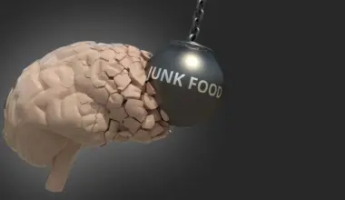 Running fixes what junk food breaks in the brain