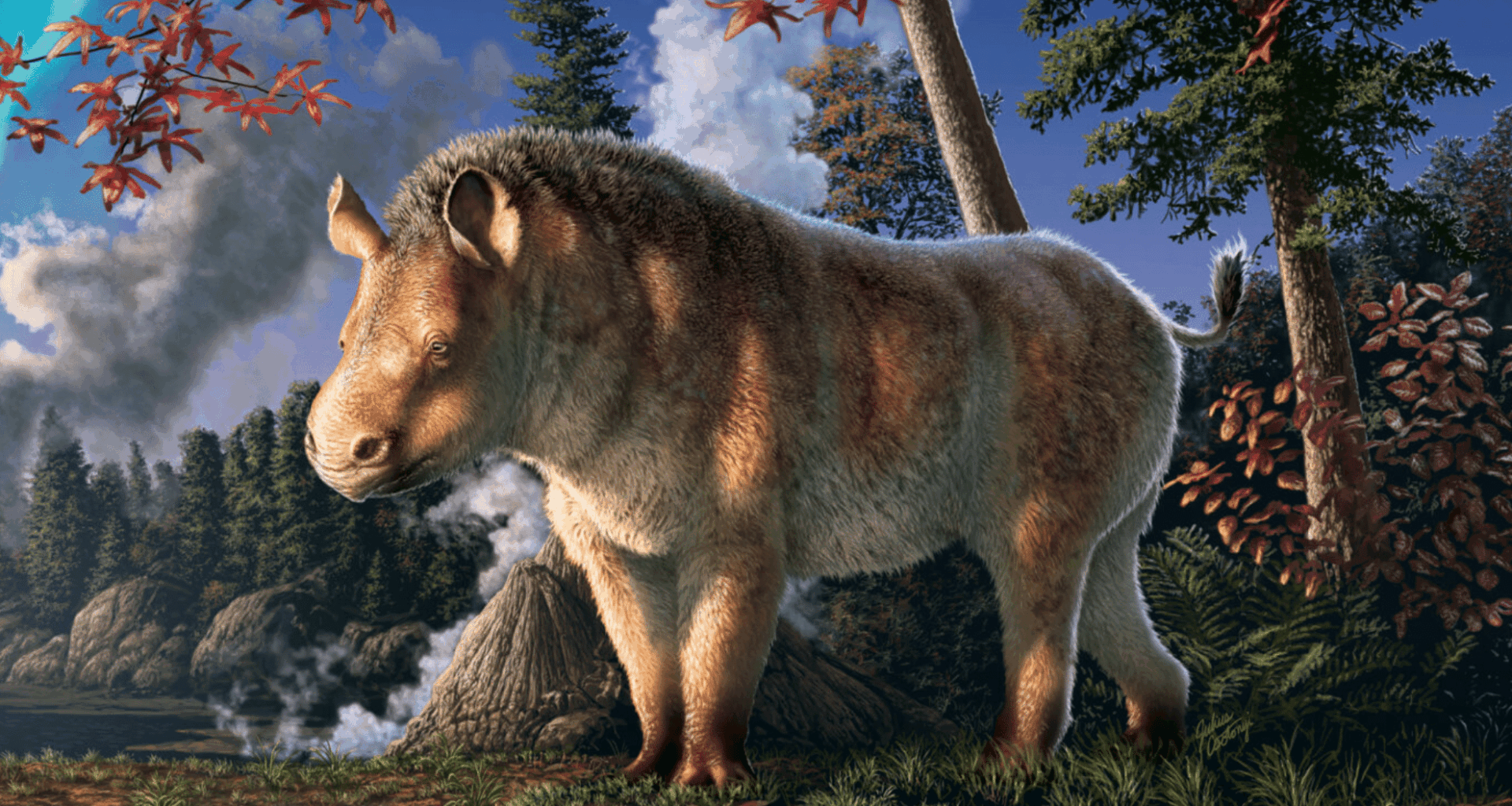 New Extinct Rhino Species Found In Canada’s High Arctic