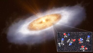 Artist’s impression of the planet-forming disc around the star V883 Orionis. © Credit: ESO/L. Calçada/T. Müller (MPIA/HdA) (CC BY 4.0)