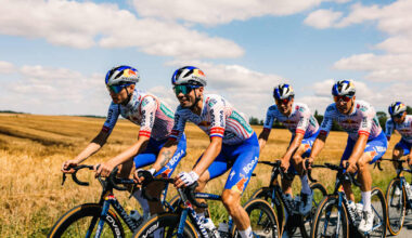 Everything you need to know