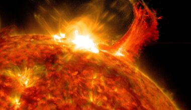 an image of a solar flare emerging from the sun