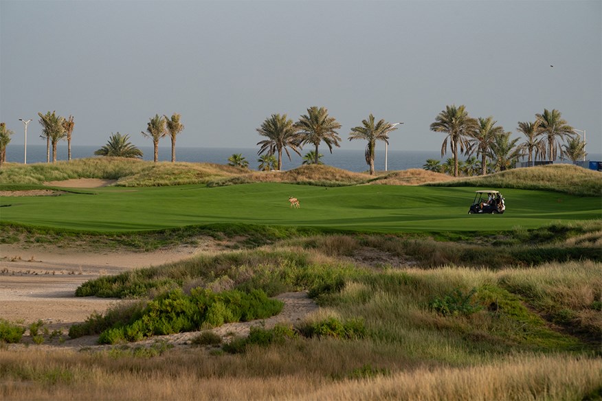 Saadiyat Beach Golf Club have achieved a perfect blend of manmade and natural design