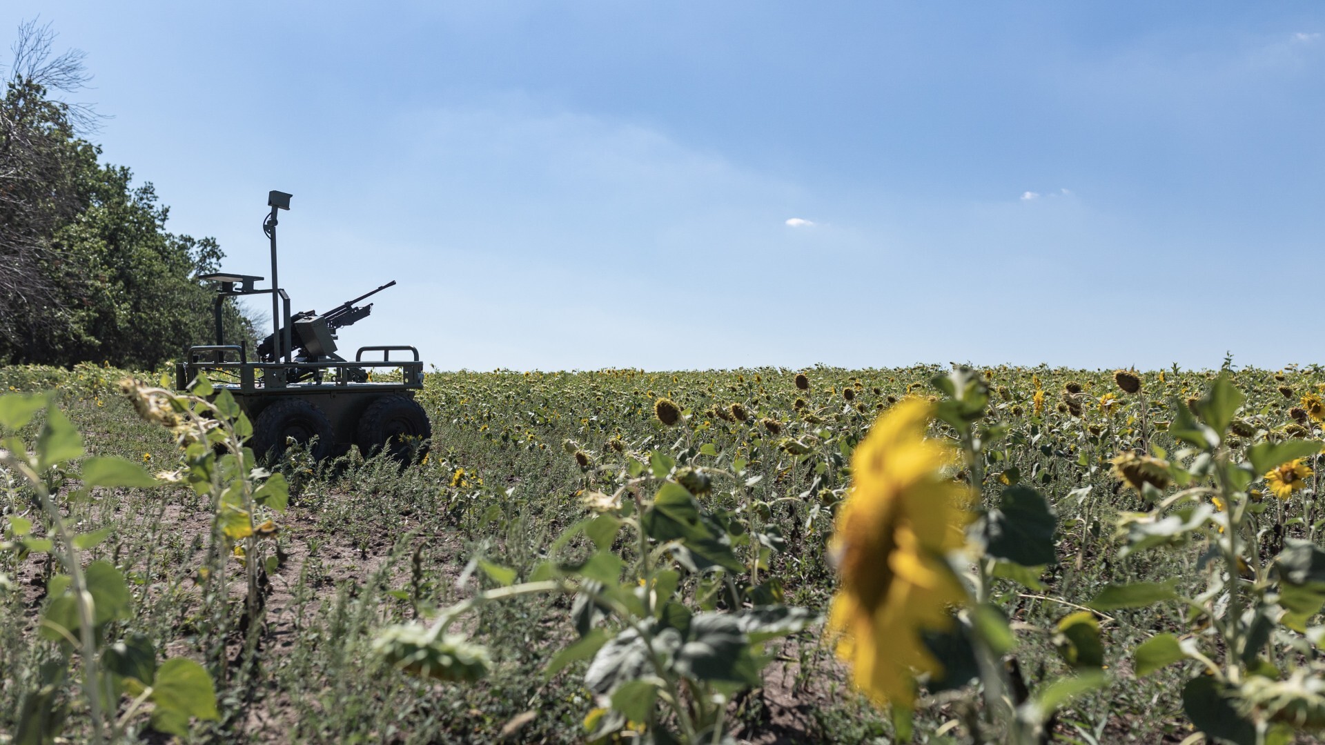 Ukrainian soldiers using tractors in the middle of a field with sunflowers.