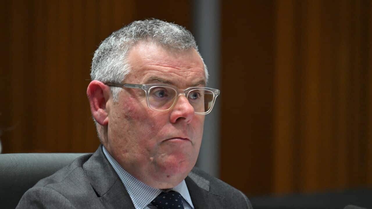 Murray Watt in glasses and a charcoal suit