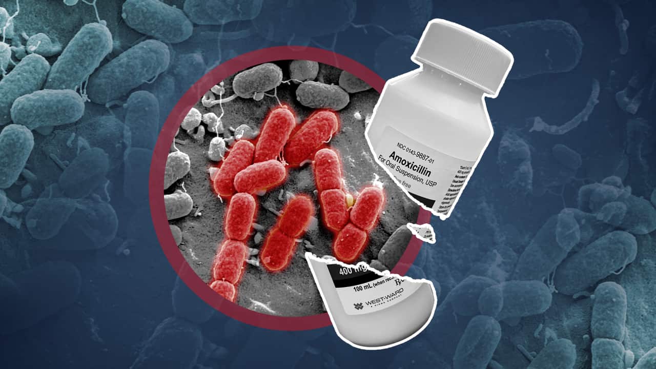 A composite image of a pathogen and a broken medicine bottle