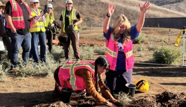 First native plants installed on the 101 Freeway wildlife crossing in Agoura Hills