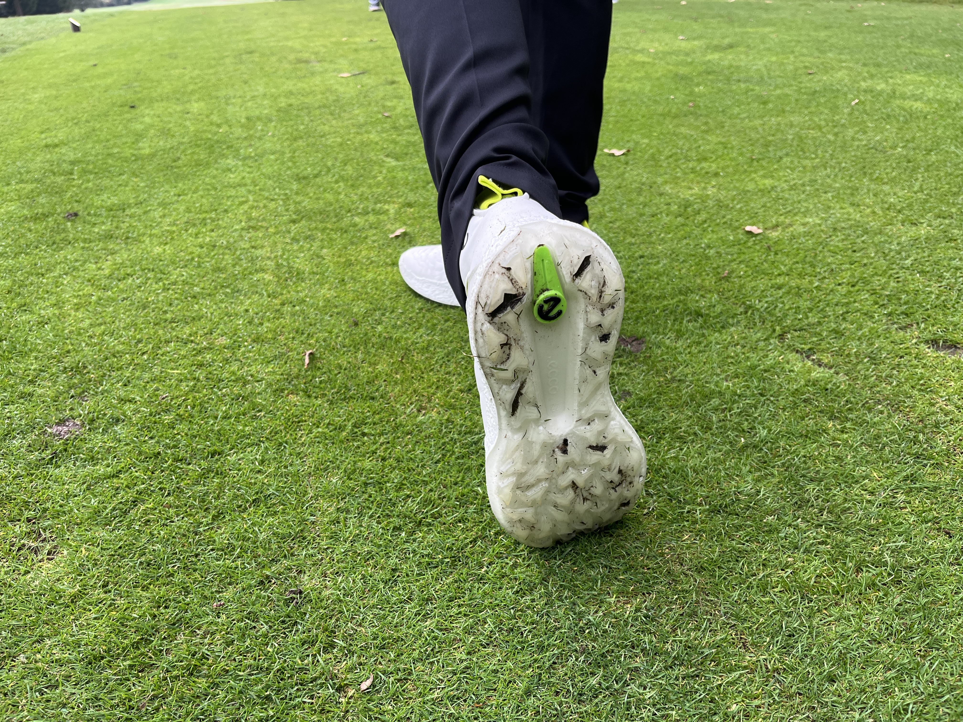 Ecco Biom H5 High Top BOA Golf Boot review