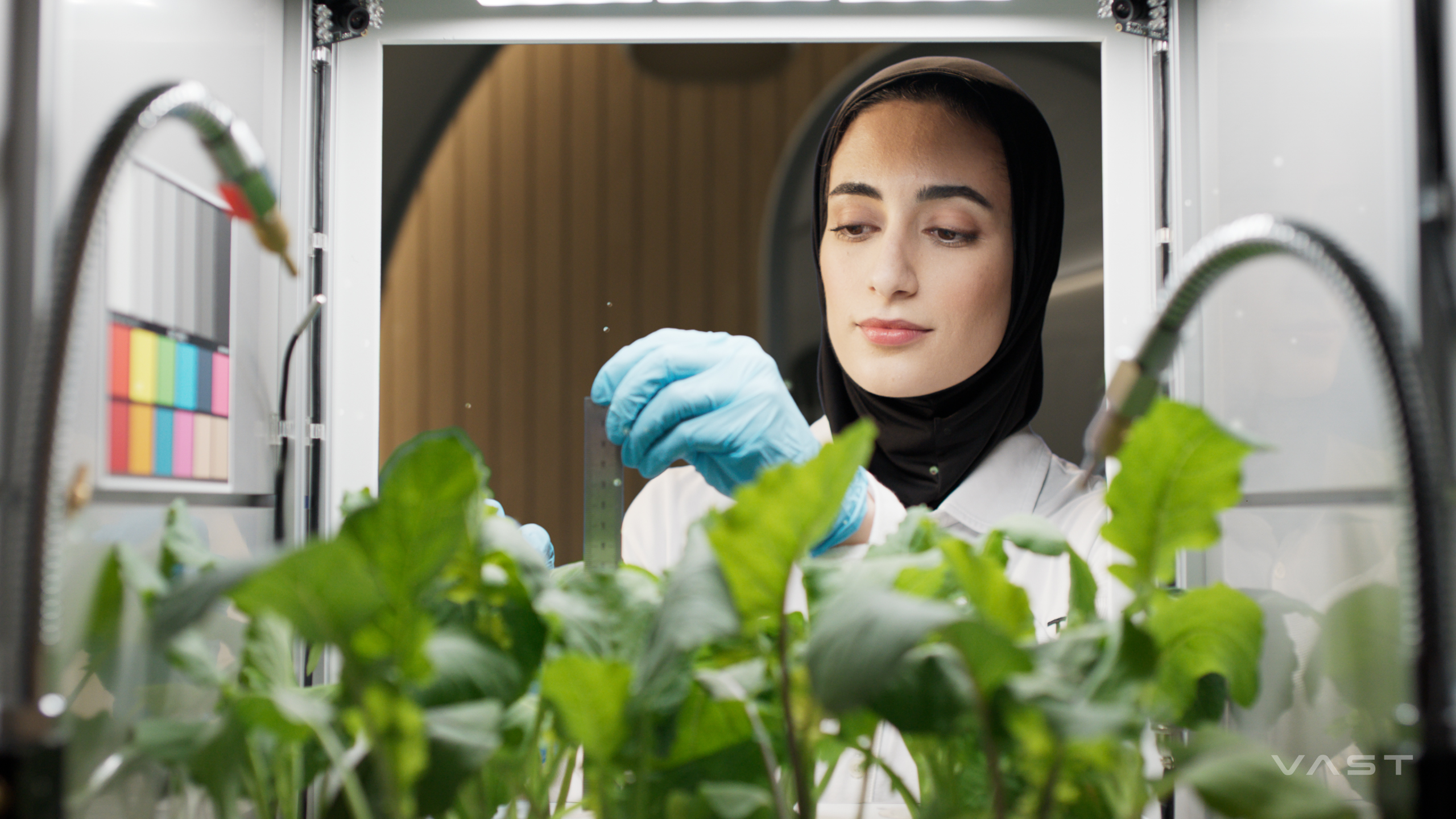 A woman in a hijab and gloves measures plants in a lab terrarium.
