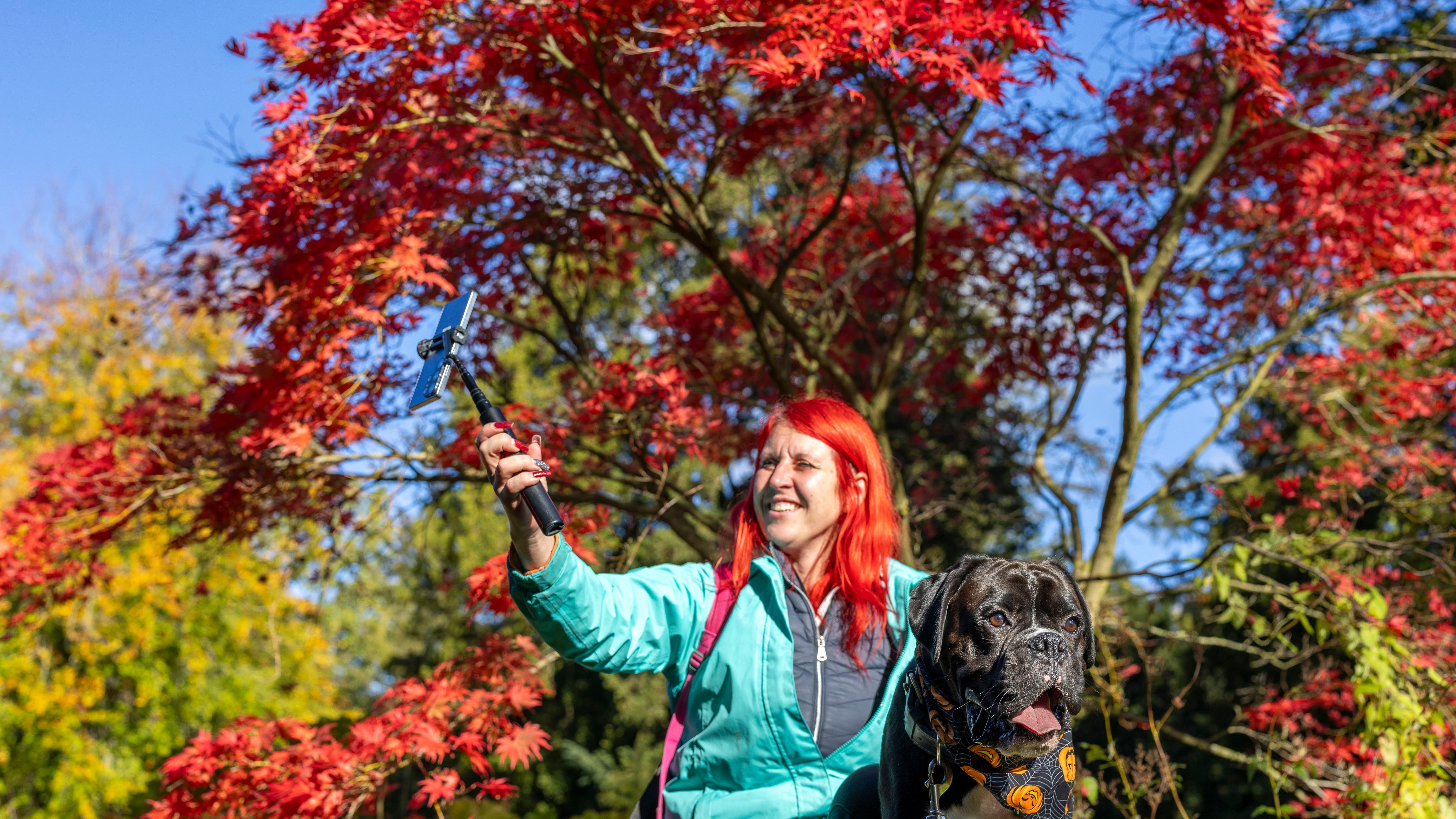Autumn reds in North Yorkshire — and other news in pictures
