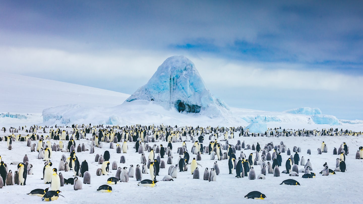 Base Almirante Brown (Argentina), in Paradise Harbour, Antarctica