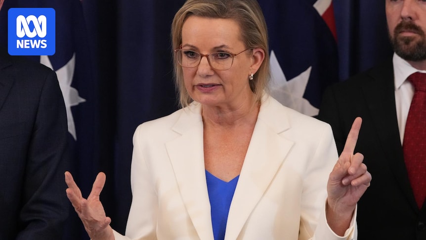 Sussan Ley to call for urgent action on defence in Menzies Institute speech