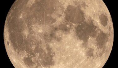 The full Moon with its many lunar maria that, at the right time, can appear like a face looking back at you (Credit :  Tomruen)