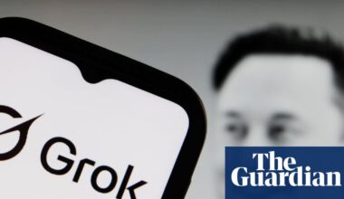 In Grok we don’t trust: academics assess Elon Musk’s AI-powered encyclopedia | Artificial intelligence (AI)