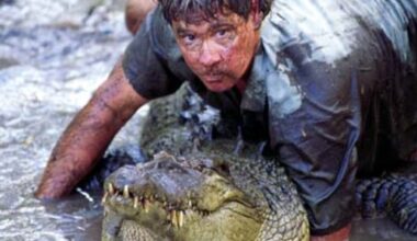 Steve Irwin released this 4m croc decades ago. Now it’s at Australia Zoo, and people aren’t happy