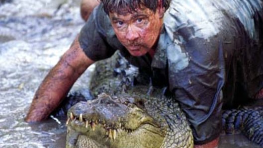 Steve Irwin released this 4m croc decades ago. Now it’s at Australia Zoo, and people aren’t happy