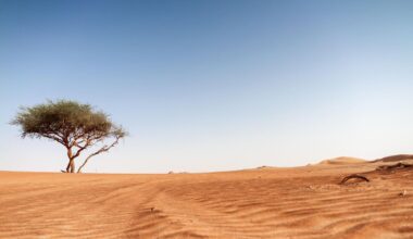 One Is In The Center Of The Sahara Desert