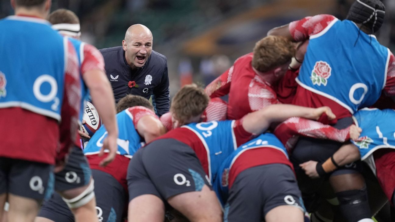 England vs New Zealand: Borthwick expects 'pain and suffering'