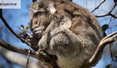 Why moving starving populations isn’t a simple task