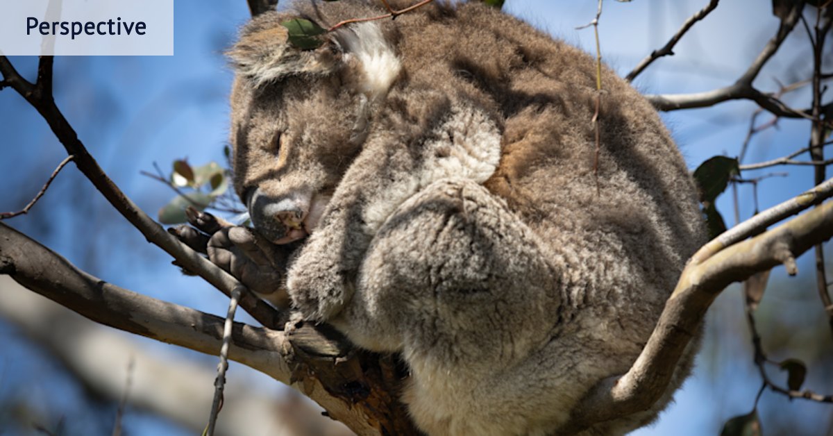 Why moving starving populations isn’t a simple task