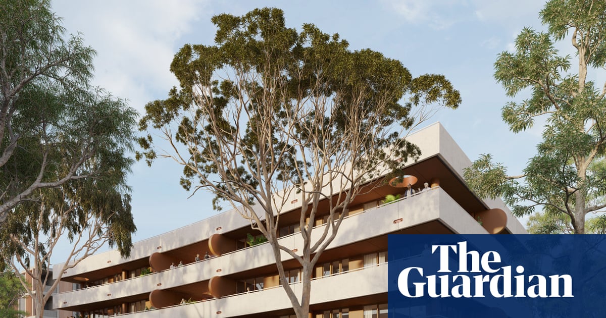 ‘Beautiful to look at and wonderful to live in’: new pattern designs could be next art deco or red brick classics | Sydney