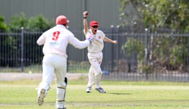 Mix of imports and locals crack into Northern Rivers rep cricket teams